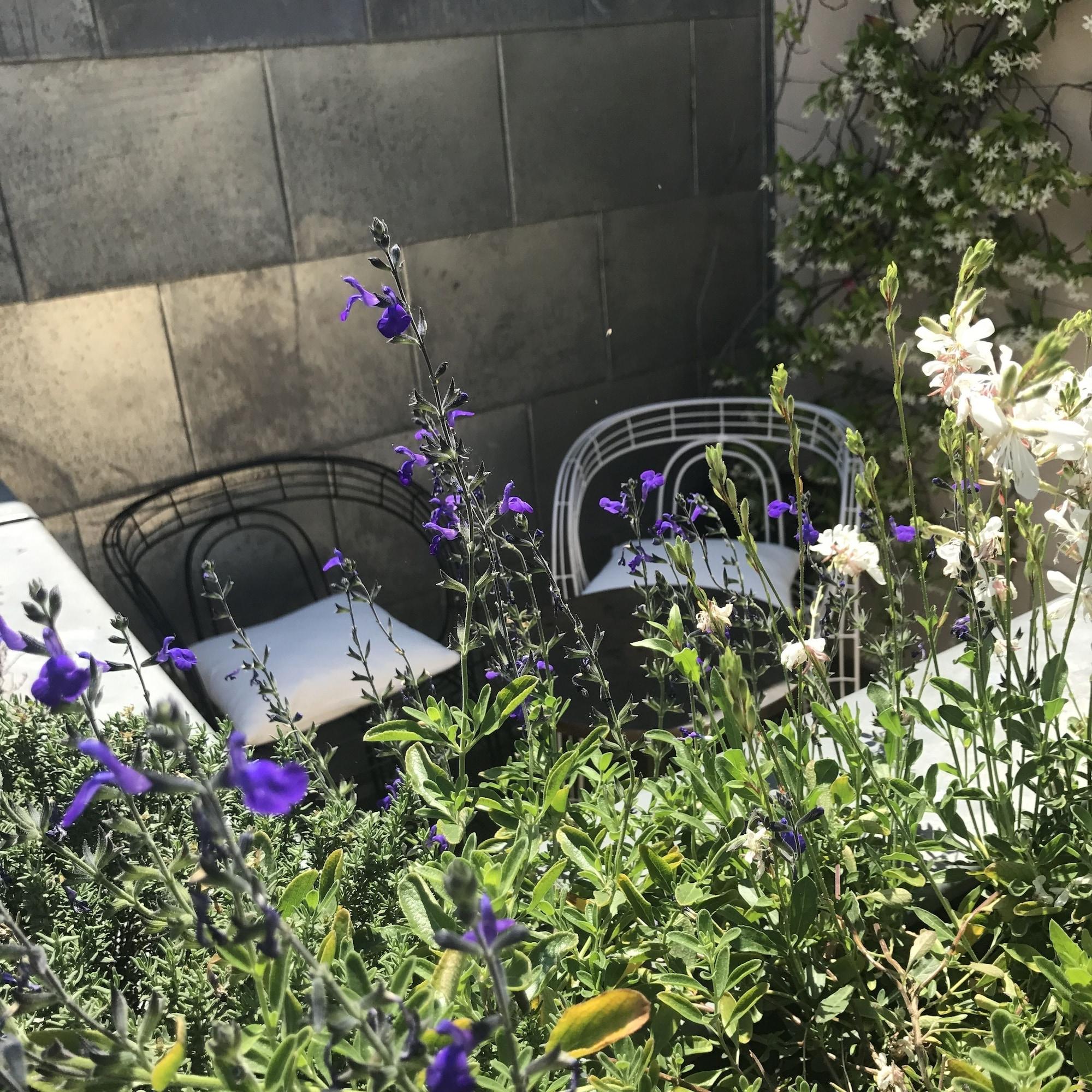 Hotel Recamier Paris Eksteriør bilde