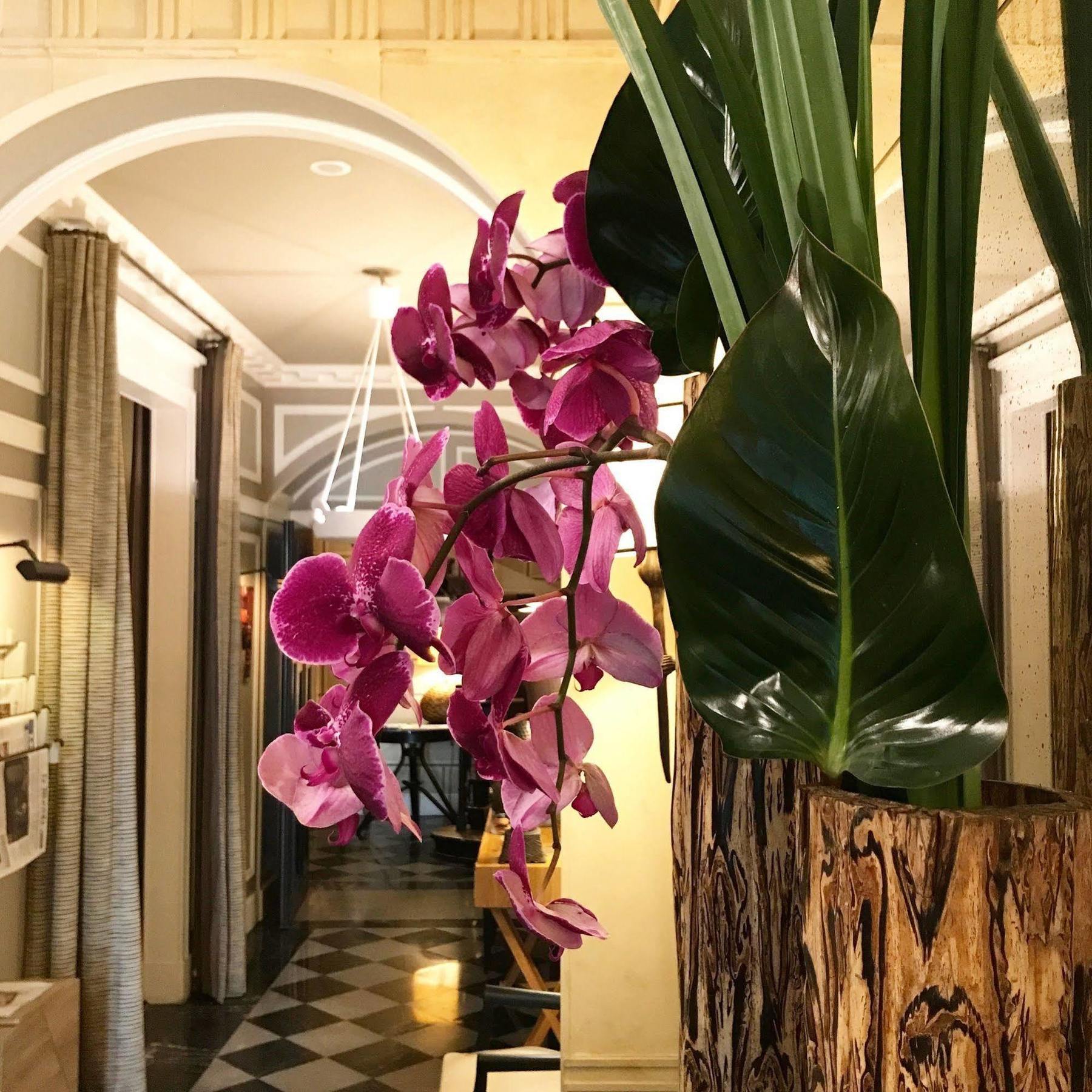 Hotel Recamier Paris Eksteriør bilde